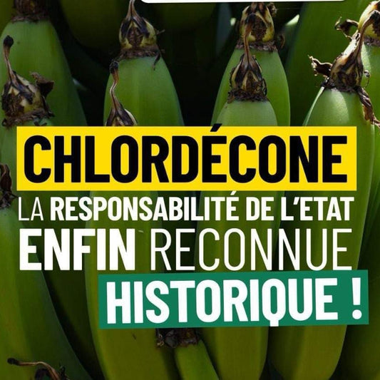 Le Scandale du Chloredécone #1jour1post #jour46