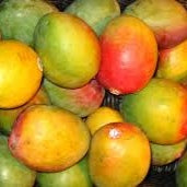 Vin Doux aromatisé Mangue Créol artisanal 50cl