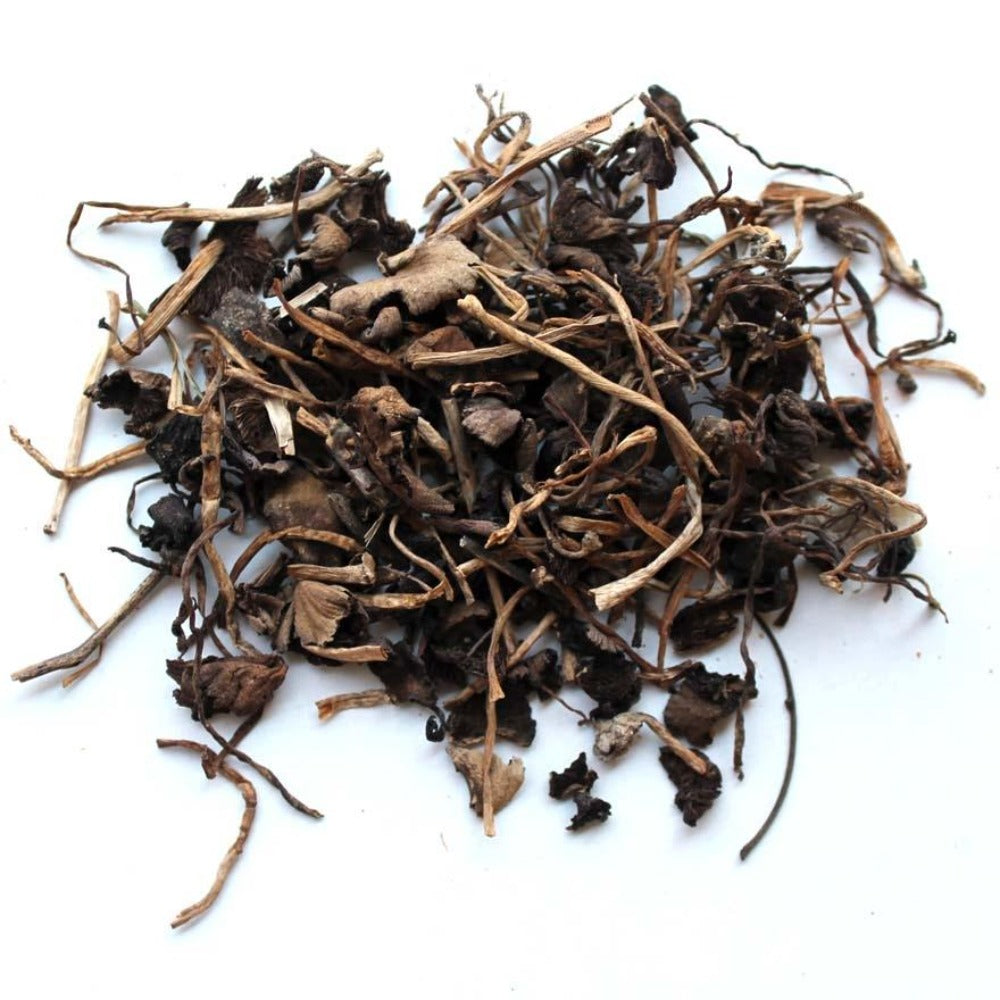 Djon Djon Champignons noir séchés