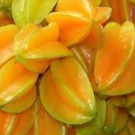 carambole Martinique Antillessurtarn