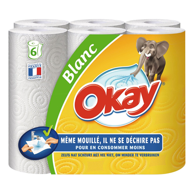 Essuie-tout Original x 6 Okay