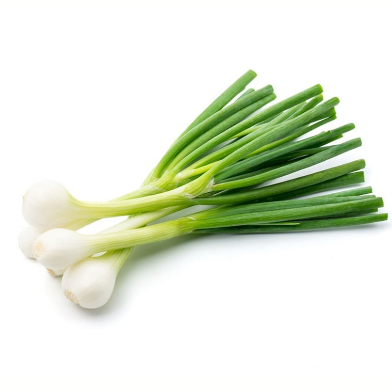 Botte d'oignon nouveau France