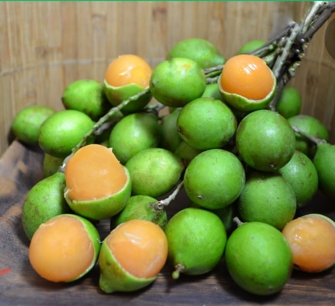 Quenettes frais Martinique
