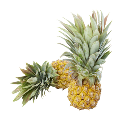 Ananas victoria de L'ile de La Réunion