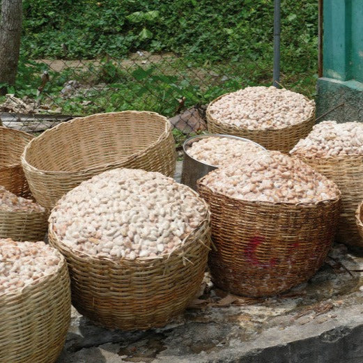 Chocolat Noir bio Ethiquable gianduja intense 55% Haïti