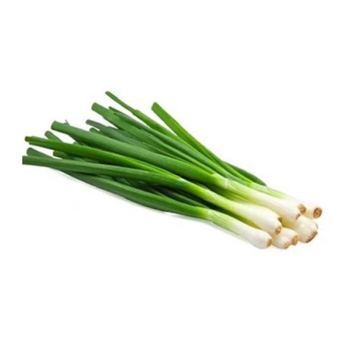 Botte de Cives dit Cebette