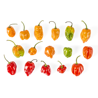 Piments forts frais
