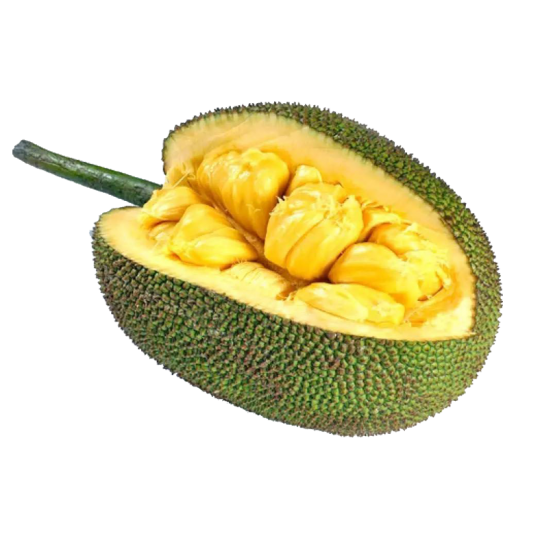 Fruit du Jacquier séché de Madagascar