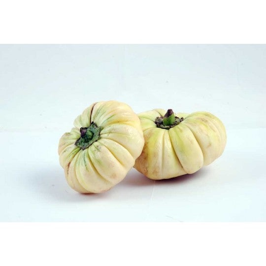 Jacato Aubergine africaine (diakhatou)