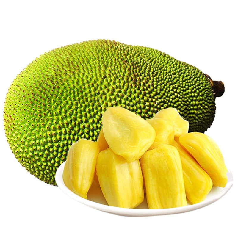 Chair de Fruit de Jacquier 250g