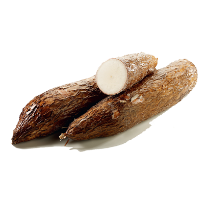 Manioc frais