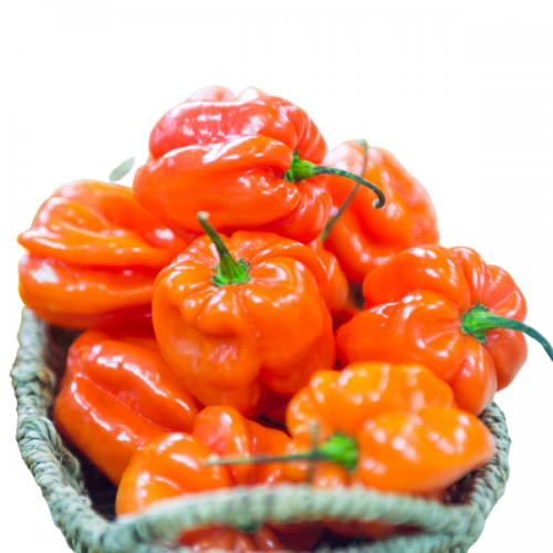 Piments forts surgelés