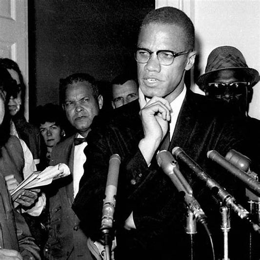 #1jour1post #jour53 #LameredeMalcomX