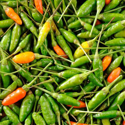 Piment Oiseau Mélanger barquette 100 g