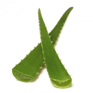 Feuille aloe vera Frais 500g