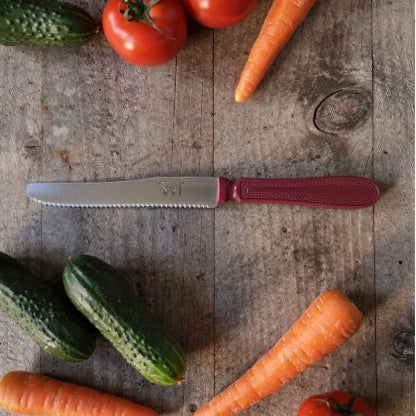 Couteau CHIEN® Edition MICRODENT MANCHE ROUGE X 6 dans boite blanche imprimée