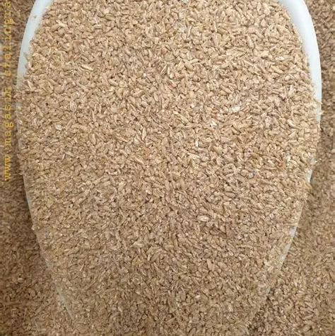 Blé dur Origine Haïti 5kg