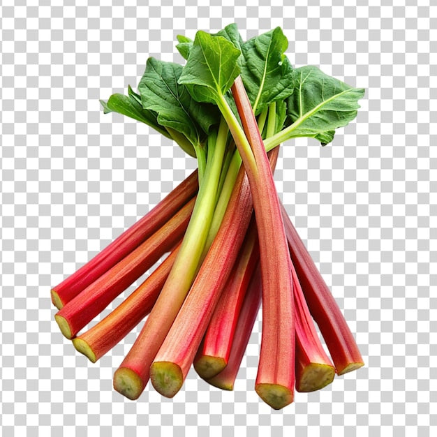 Rhubarbes fraiches 1kg