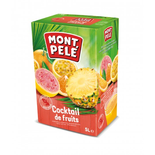 Cubi nectar cocktail de fruits 5L Montpelé