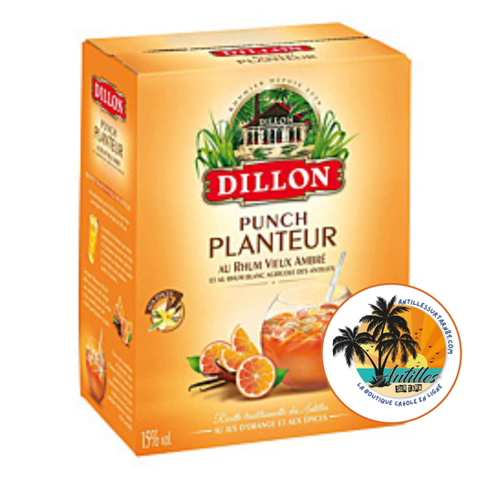 Punch Planteur 16° Dillon Cubi 3L