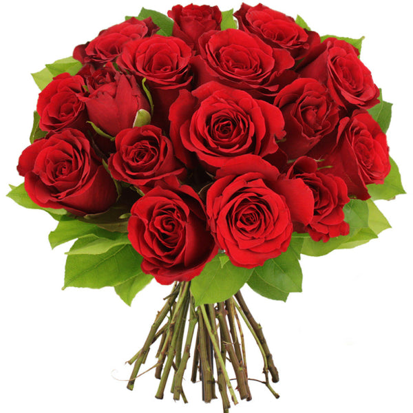 BOUQUET DE 15 ROSES ROUGES