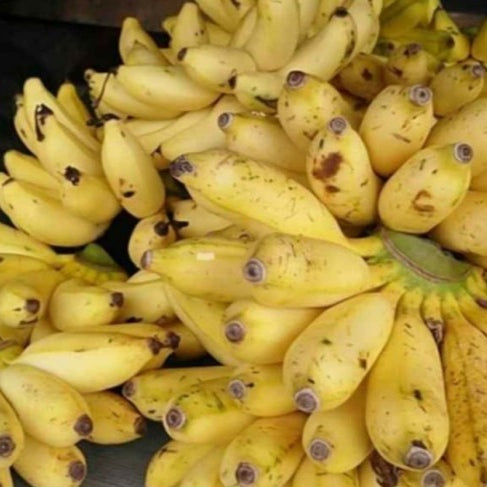 Bananes figues pommes freycinette