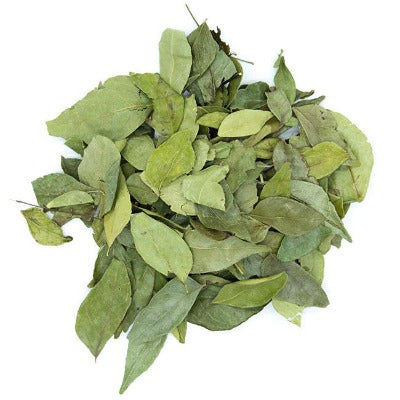 Feuilles De Curry Caloupil Kaloupil Antilles Sur Tarn feuilles-de-curry-caloupil-kaloupil-antilles-sur-tarn