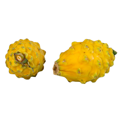 Pitayas séchées (fruit du dragon) barquette