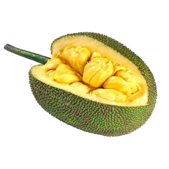Fruit Ti Jacque séché de Madagascar