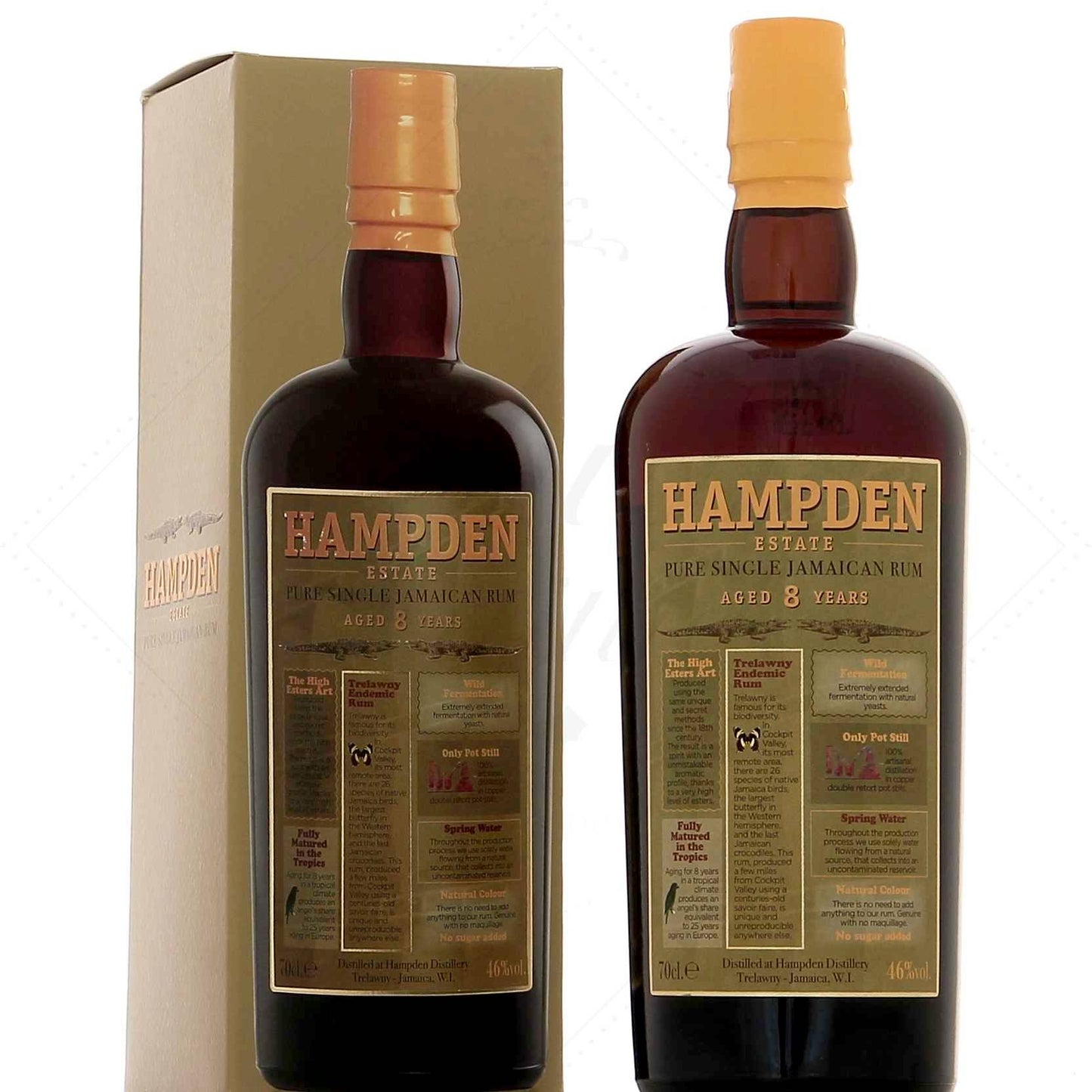 Rhum Hampden 8ans