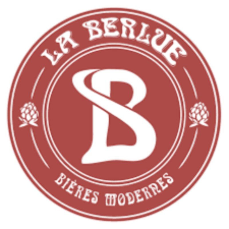 Bière bio La Berlue Noire VP 75cl