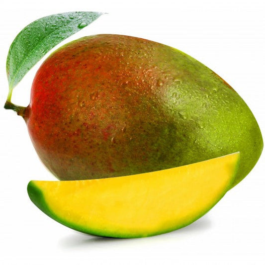 Mangue tropical lot de 2