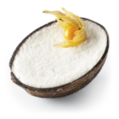 Noix de coco givrées x 4 Surgèles 330g